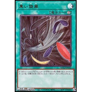 画像: 【ウルトラレア】黒い旋風