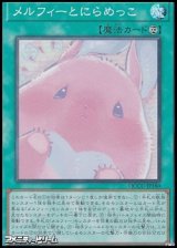 画像: 【スーパーレア】メルフィーとにらめっこ