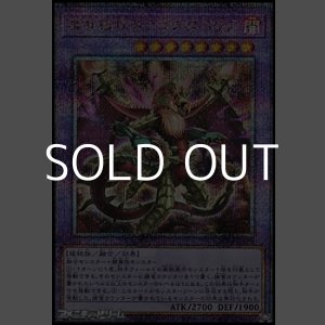 画像: 【25thシークレットレア】捕食植物ドラゴスタペリア