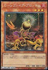 画像: 【コレクターズレア】ローンファイア・ブロッサム