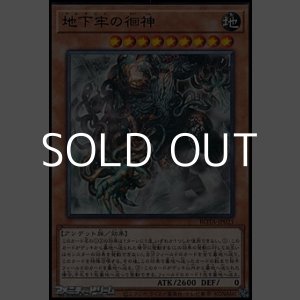 画像: 【レア】地下牢の徊神