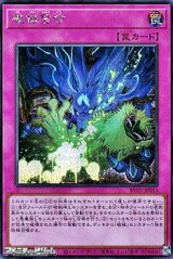 画像: 【シークレットレア】破械習合
