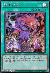 画像: 【シークレットレア】雙王の械