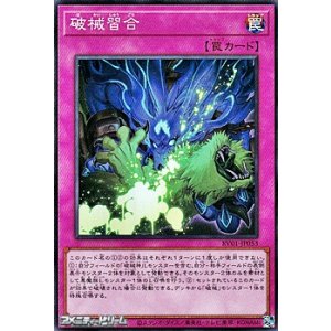 画像: 【スーパーレア】破械習合