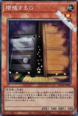 画像: ★特価★【コレクターズレア】増殖するG