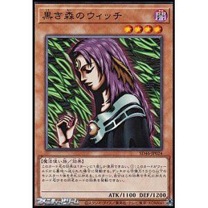 画像: 【ノーマル】黒き森のウィッチ
