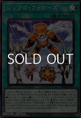 画像: 【パラレル】シンクロ・フェローズ