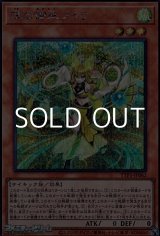 画像: 【シークレットレア】珠の御巫フゥリ