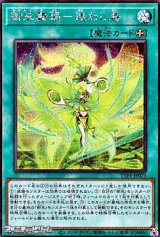 画像: 【シークレットレア】御巫舞踊－迷わし鳥