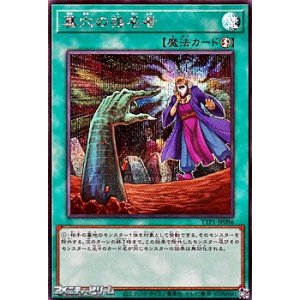 画像: 【シークレットレア】墓穴の指名者