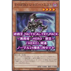 画像: 遊戯王 TACTICAL-TRY PACK －黒魔導・HERO・御巫－ 「HERO」関連ノーマル24種各1枚セット