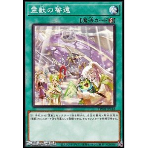 画像: 【パラレル】霊獣の誓還