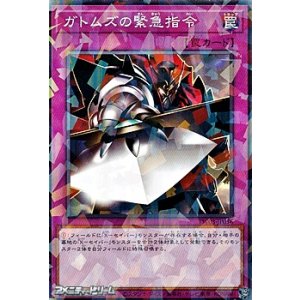 画像: 【パラレル】ガトムズの緊急指令