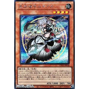 画像: 【シークレットレア】星辰槍手ルキアス