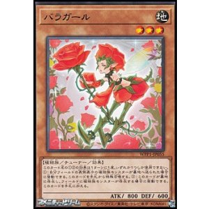 画像: 【レア】バラガール