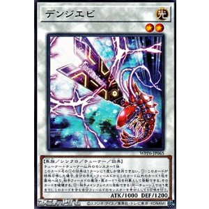 画像: 【レア】デンジエビ