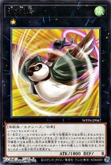 画像: 【レア】波紋鳥