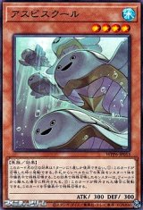 画像: 【ノーマル】アスピスクール