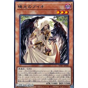 画像: 【レア】暁光のブイオ