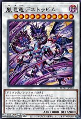 画像: 【レア】嵐忌竜デストゥビム