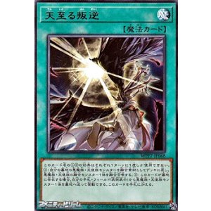 画像: 【レア】天至る叛逆