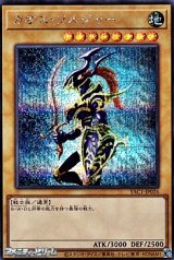 画像: 【シークレットレア】カオス・ソルジャー