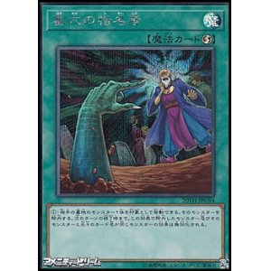 画像: 【シークレットレア】墓穴の指名者