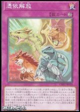 画像: 【ノーマル】憑依解放