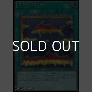 画像: 【シークレットレア】魚群探知機