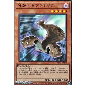 画像: 【ウルトラレア】分裂するプラナリア