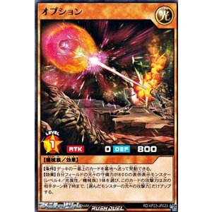 画像: 【レア】オプション