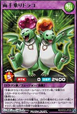 画像: 【レア】両手乗りドラコ