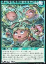 画像: 【レア】謎の飛行植物は実在した！！