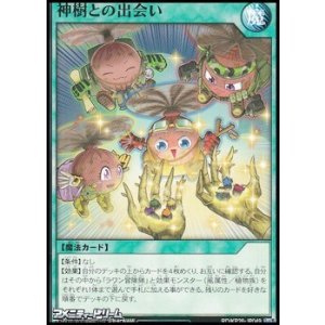 画像: 【ノーマル】神樹との出会い