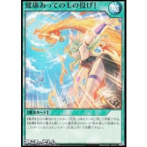 画像: 【ノーマル】健康あってのもの投げ！