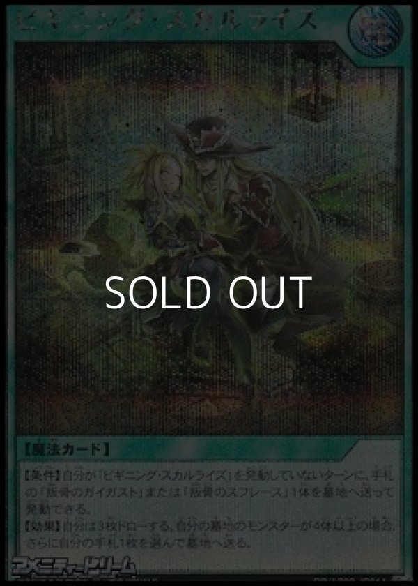 画像1: 【シークレットレア】ビギニング・スカルライズ (1)