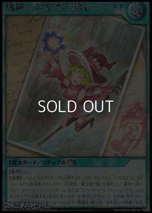 画像1: 【シークレットレア】魔除けの聖水が欲しいです！ (1)