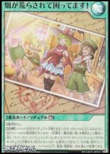 画像: 【スーパーレア】畑が荒らされて困ってます！