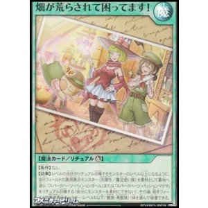 画像: 【スーパーレア】畑が荒らされて困ってます！