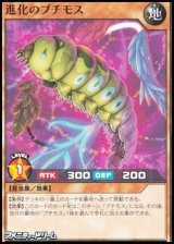 画像: 【ノーマル】進化のプチモス