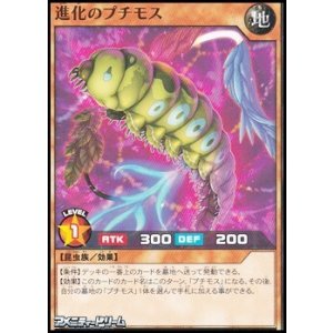 画像: 【ノーマル】進化のプチモス