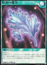 画像: 【ノーマル】樹海の魔草