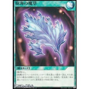 画像: 【ノーマル】樹海の魔草