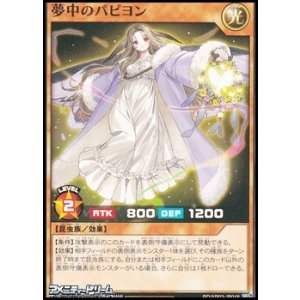 画像: 【ノーマル】夢中のパピヨン