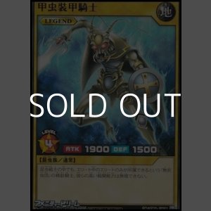 画像: 【レア】甲虫装甲騎士