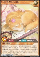 画像: 【レア】いとをかしいぬ