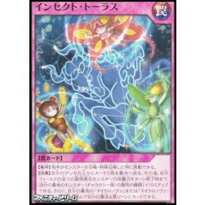 画像: 【ノーマル】インセクト・トーラス
