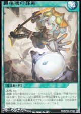 画像: 【レア】纏竜域の探索