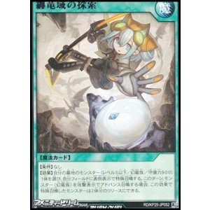 画像: 【レア】纏竜域の探索
