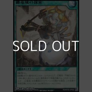 画像: 【レア】纏竜域の探索